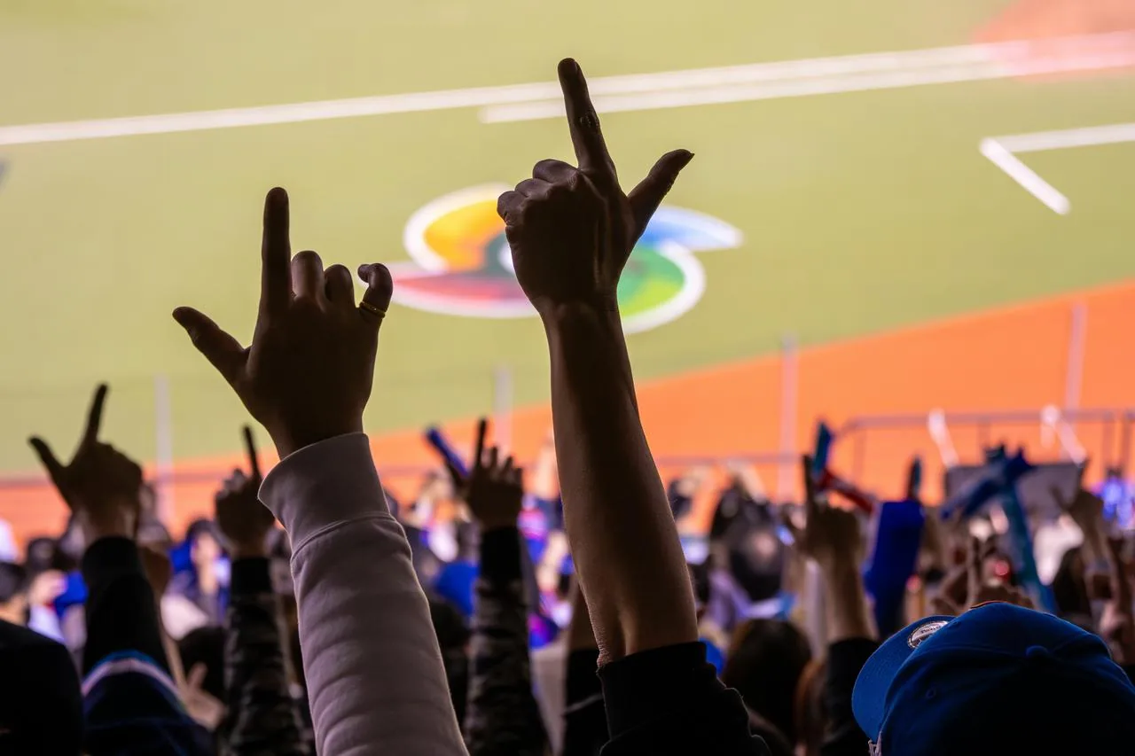 Pro Baseball: A National Obsession