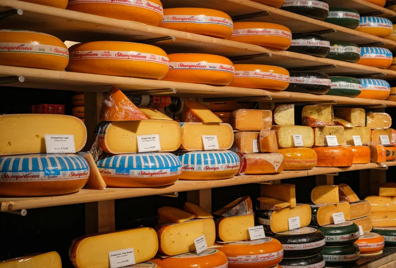 Does high-fat cheese reduce the risk of dementia?