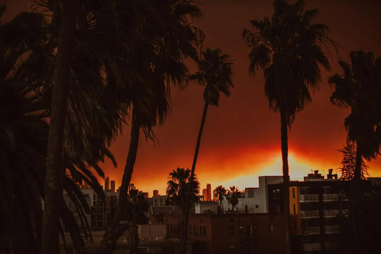 One year after the Los Angeles wildfires, residents still face many challenges.